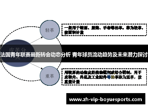 法国青年联赛最新转会动态分析 青年球员流动趋势及未来潜力探讨 法国青年联赛最新转会动态分析 青年球员流动趋势及未来潜力探讨